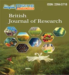 british-journal-of-research-flyer.jpg