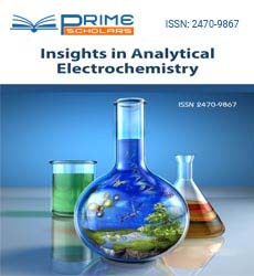 insights-in-analytical-electrochemistry-flyer.jpg