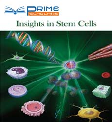 insights-in-stem-cells-flyer.jpg