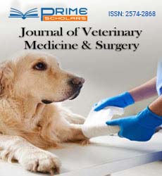 Journal of Veterinary Medicine and Surgery