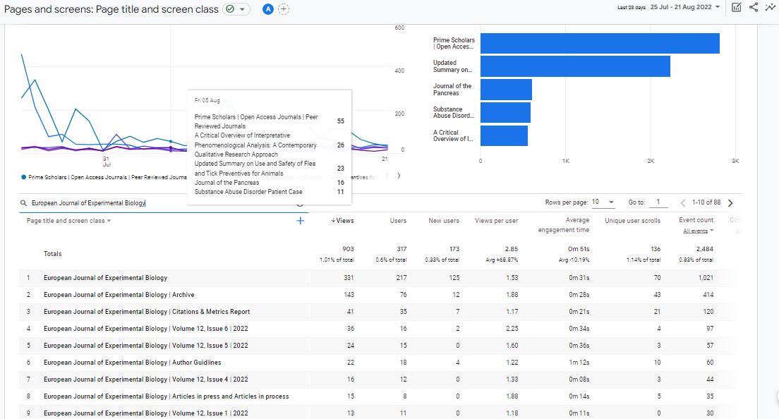 Visitor Analysis Report