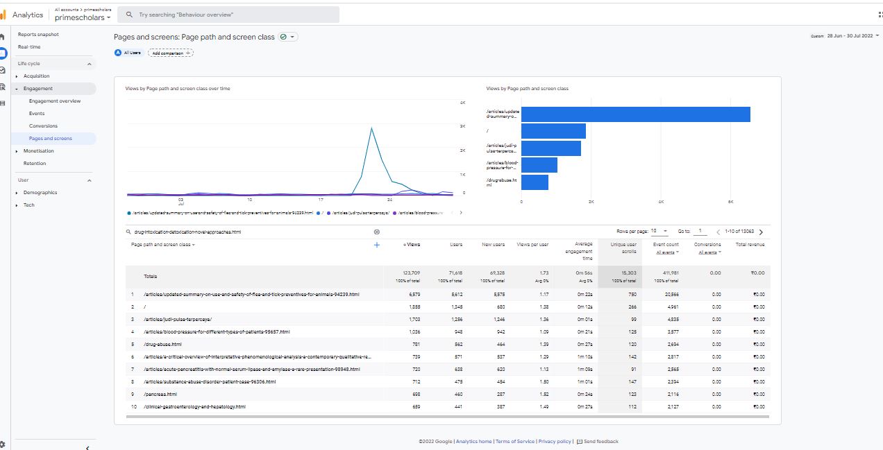 Visitor Analysis Report