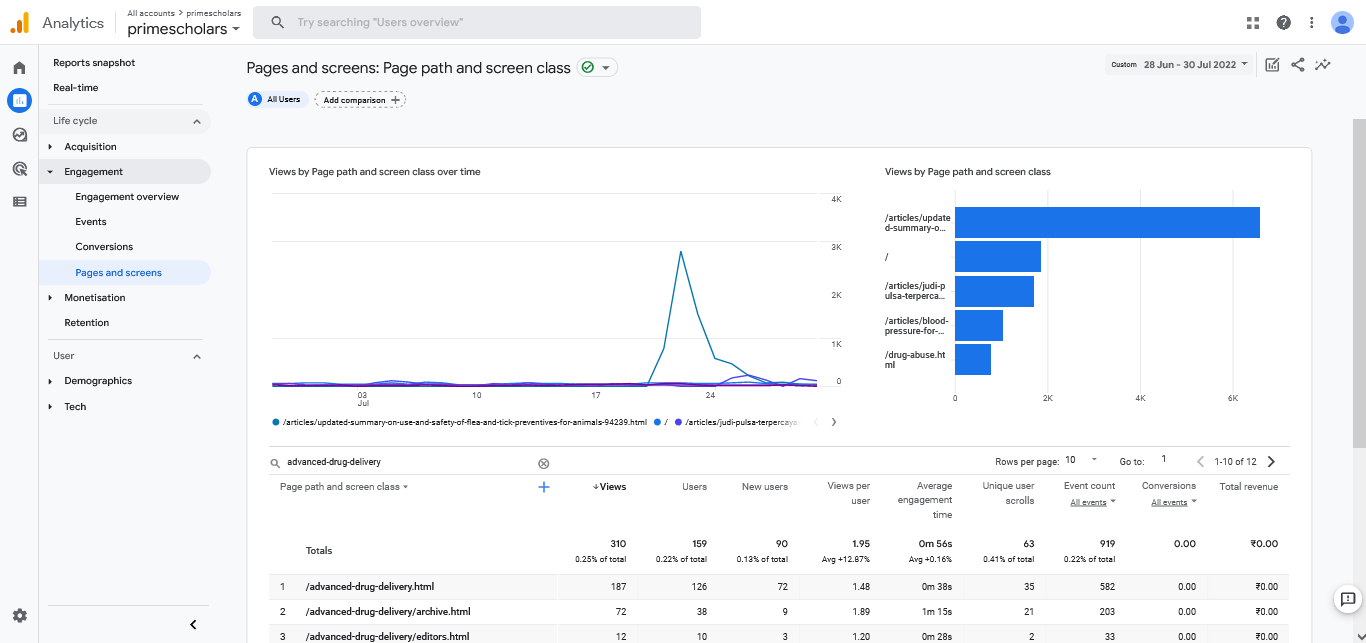 Visitor Analysis Report