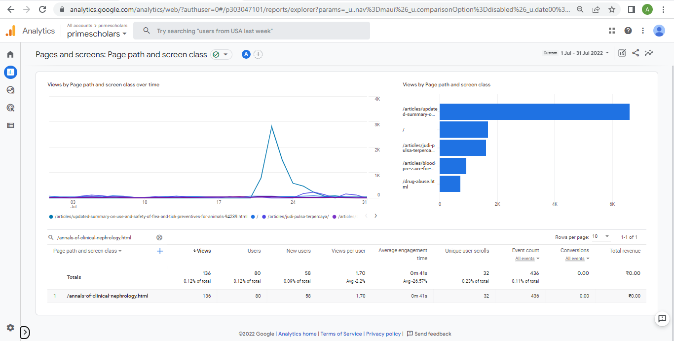 Visitor Analysis Report