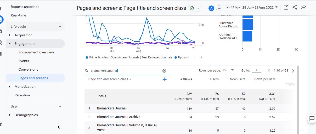 Visitor Analysis Report