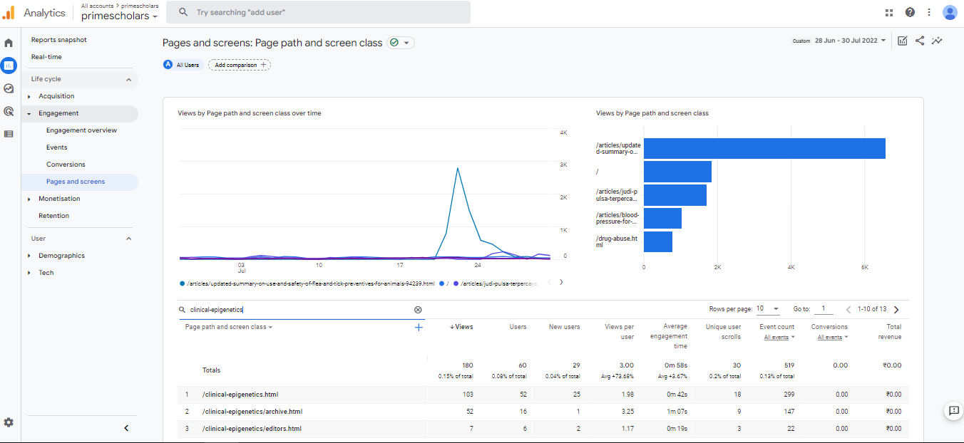 Visitor Analysis Report