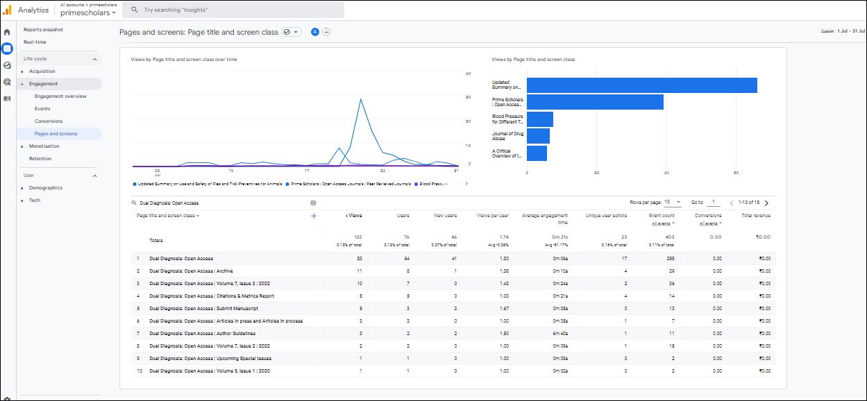 Visitor Analysis Report