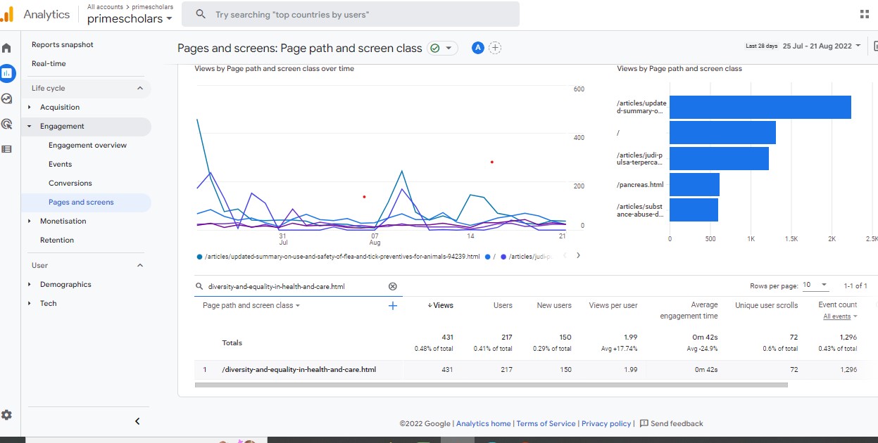 Visitor Analysis Report