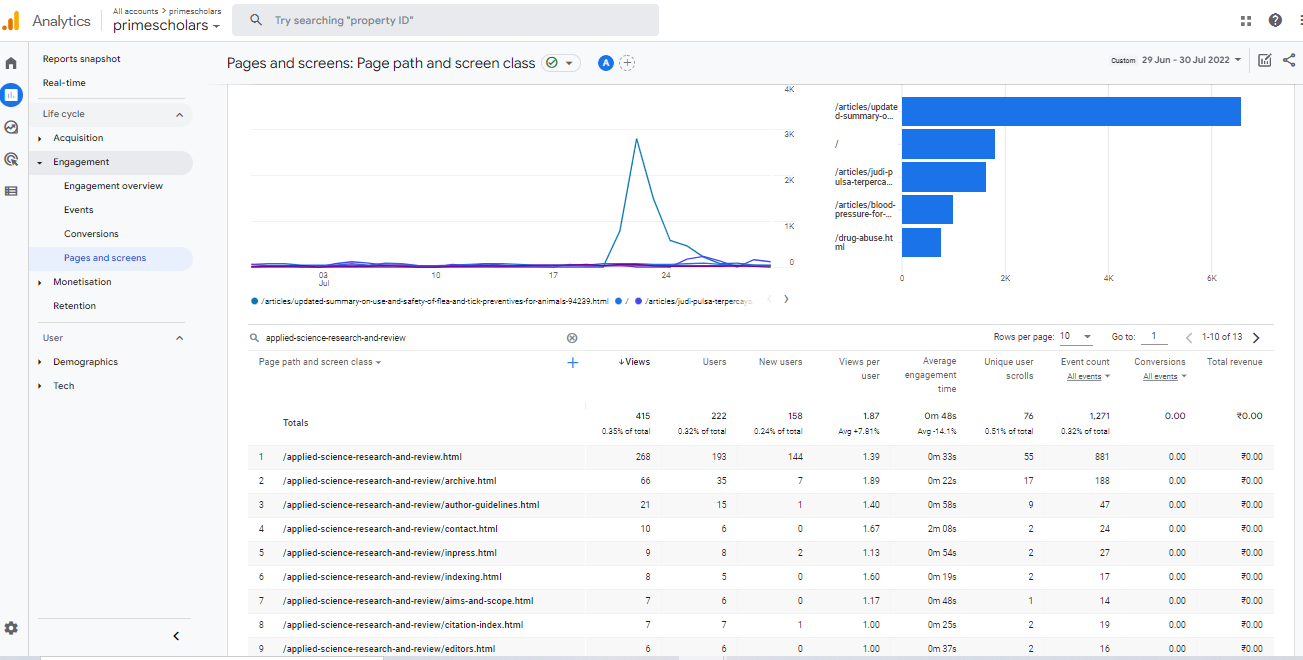 Visitor Analysis Report