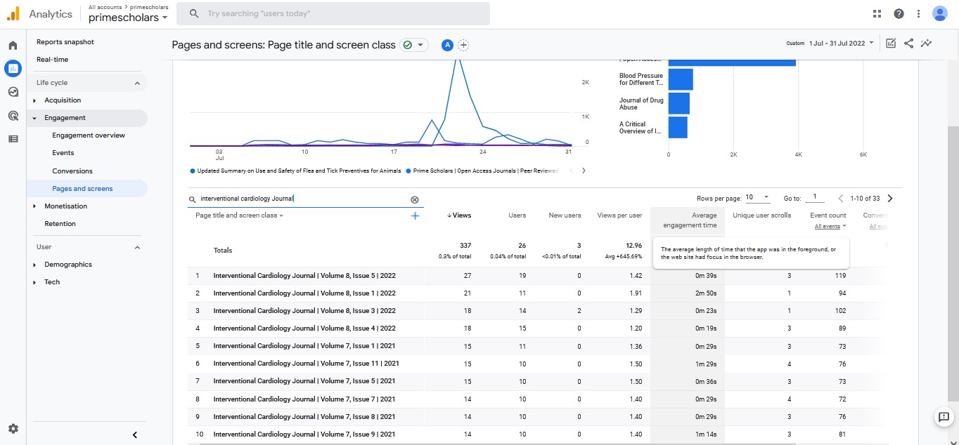 Visitor Analysis Report