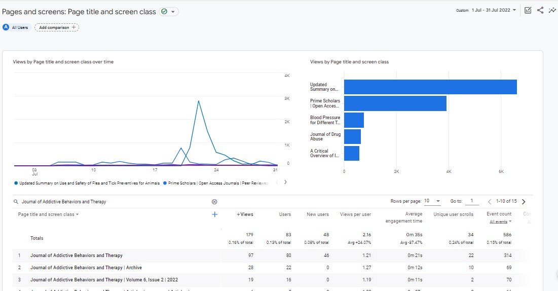 Visitor Analysis Report