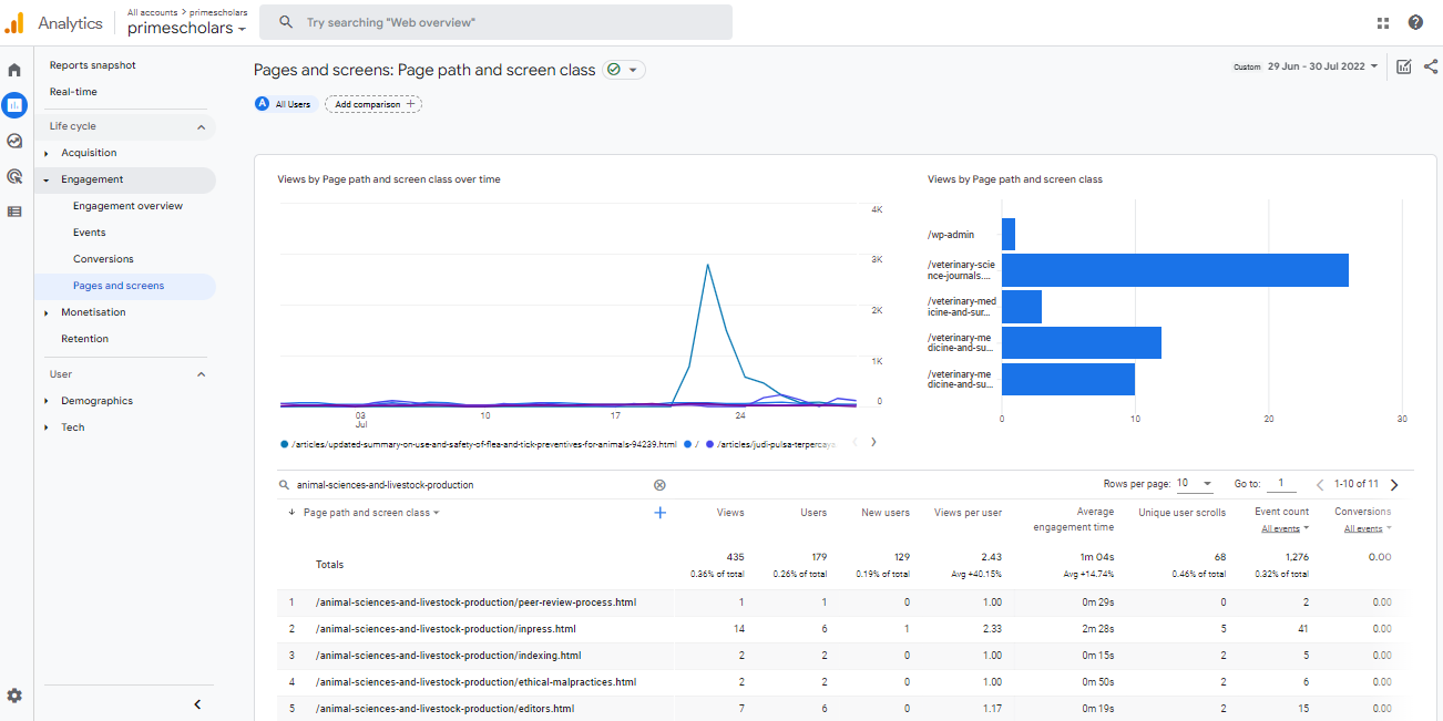 Visitor Analysis Report