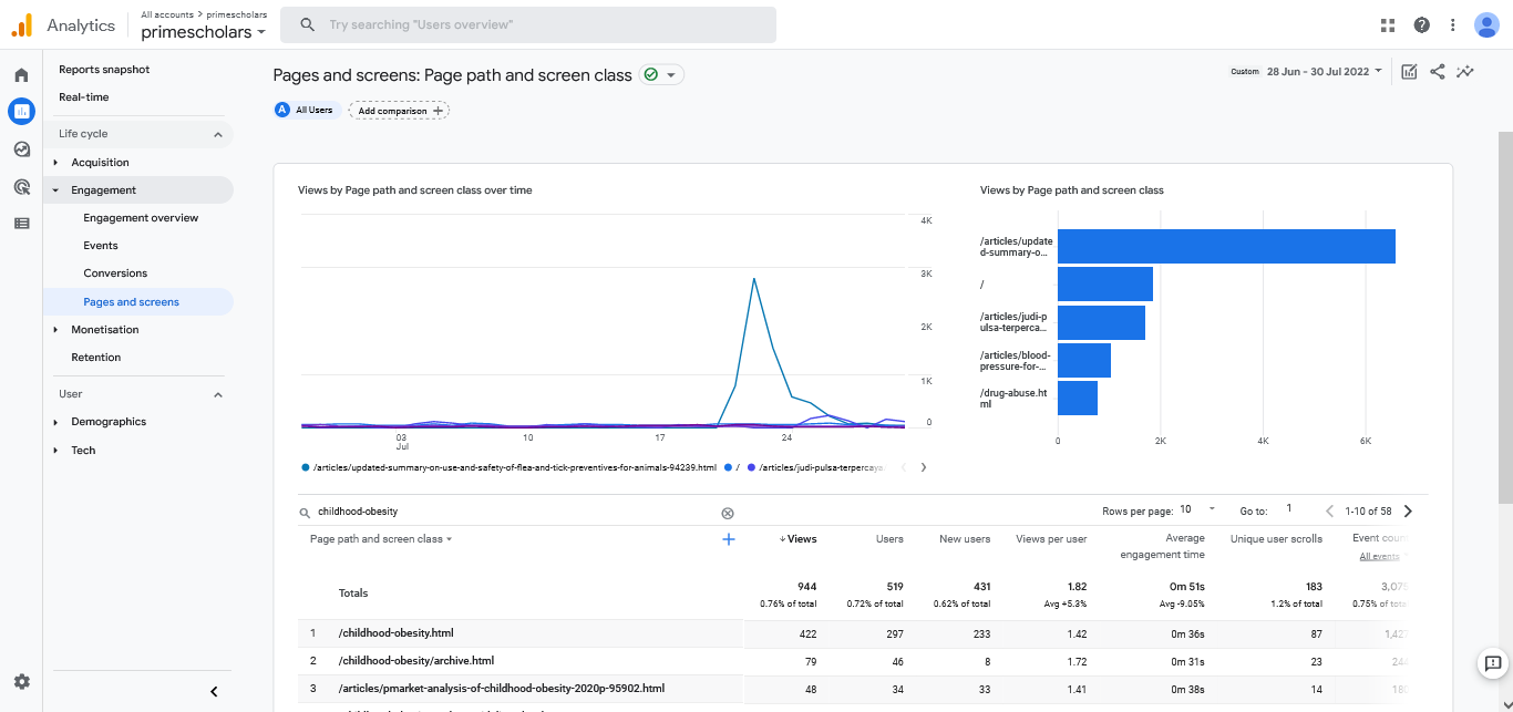 Visitor Analysis Report