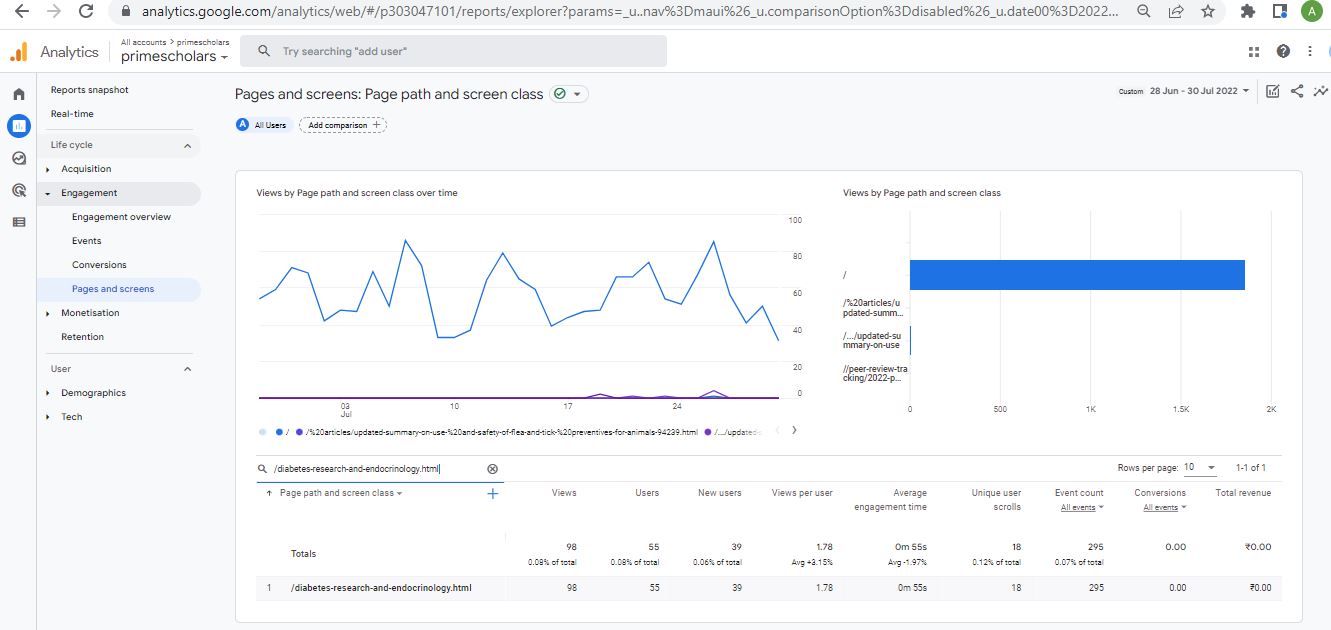 Visitor Analysis Report