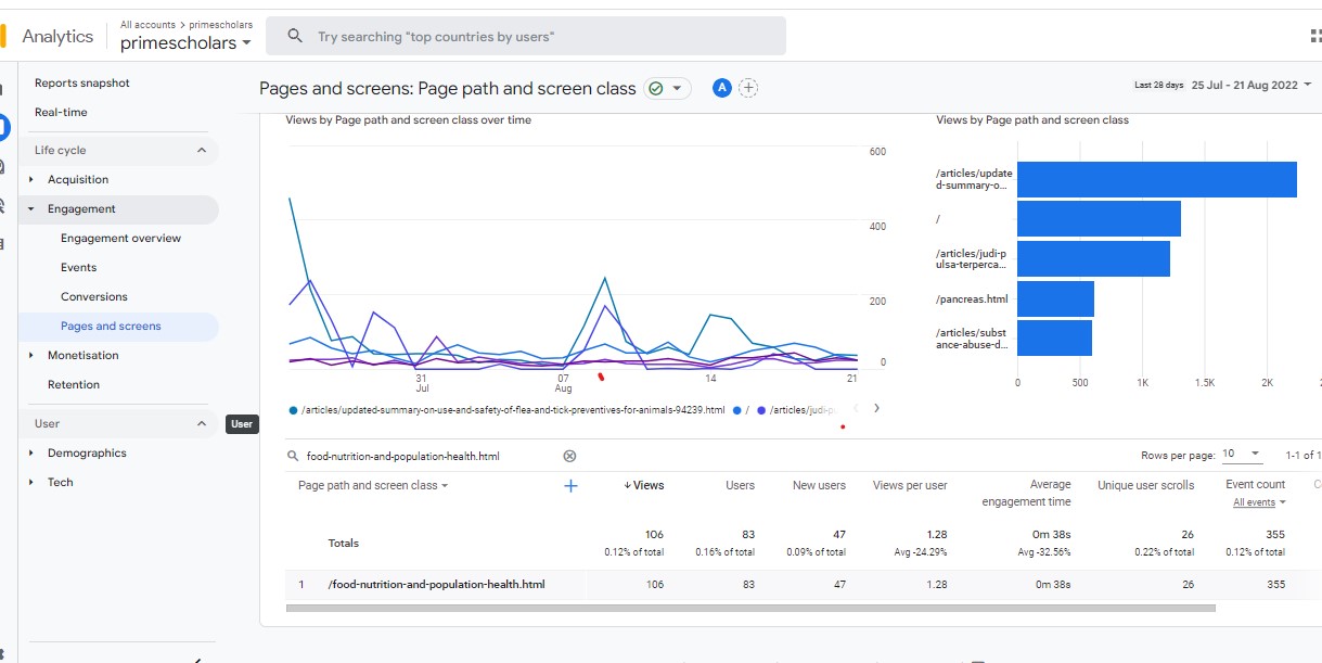 Visitor Analysis Report