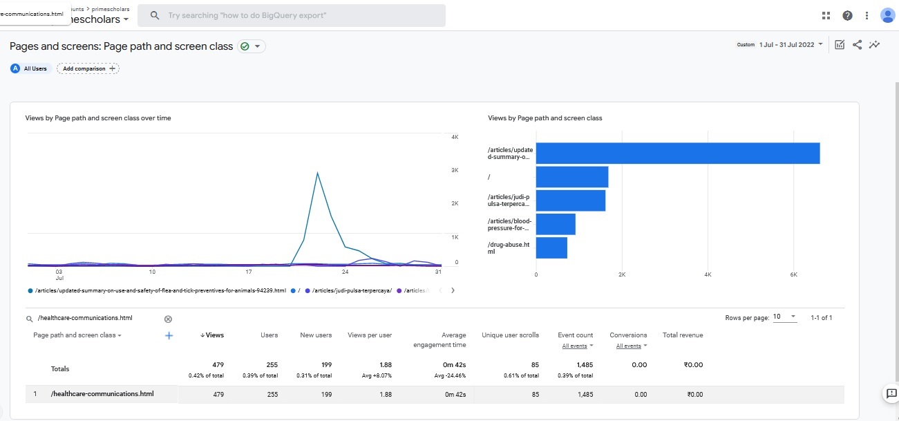 Visitor Analysis Report