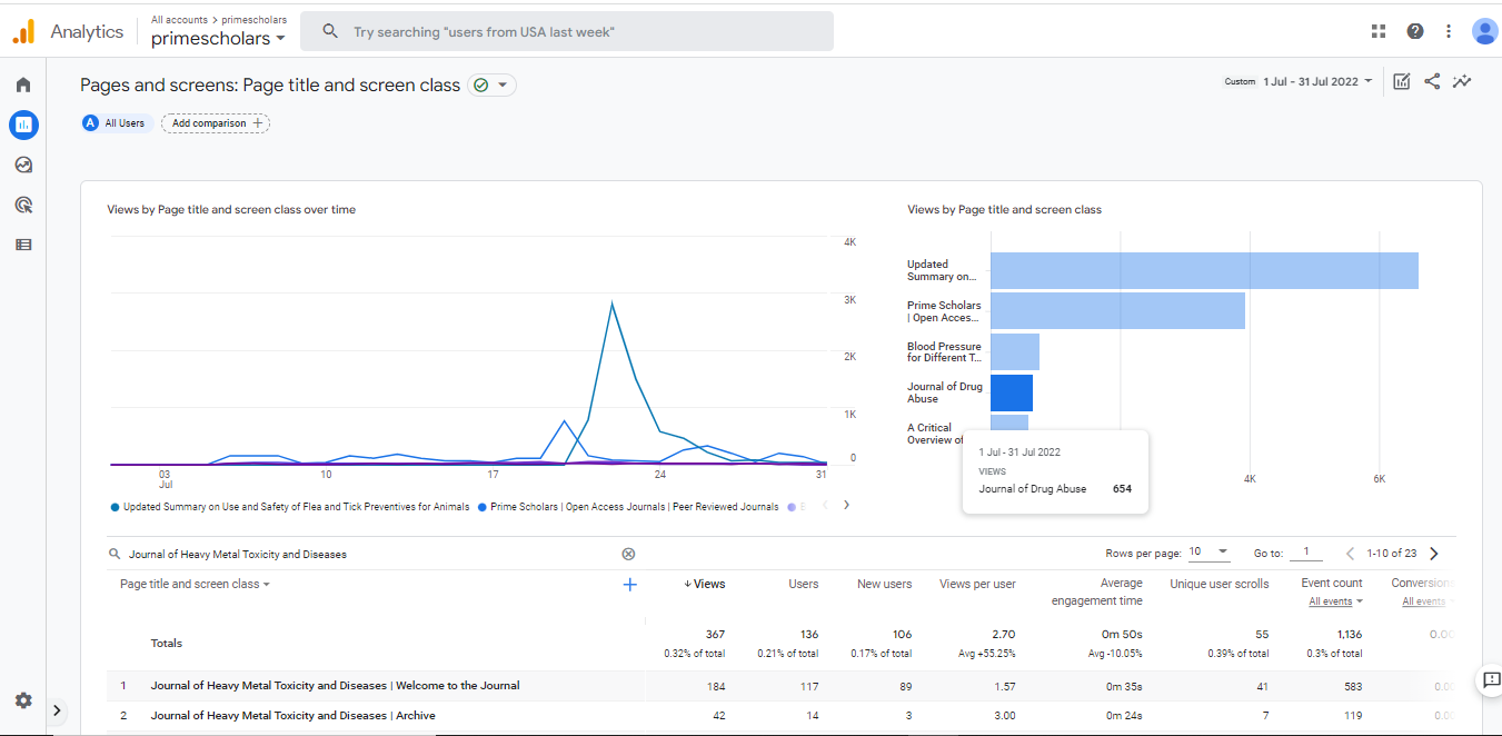 Visitor Analysis Report