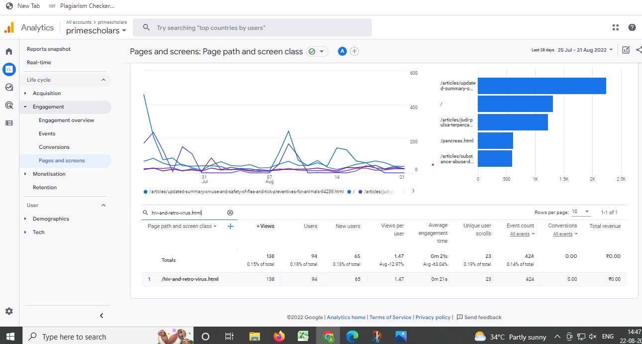 Visitor Analysis Report