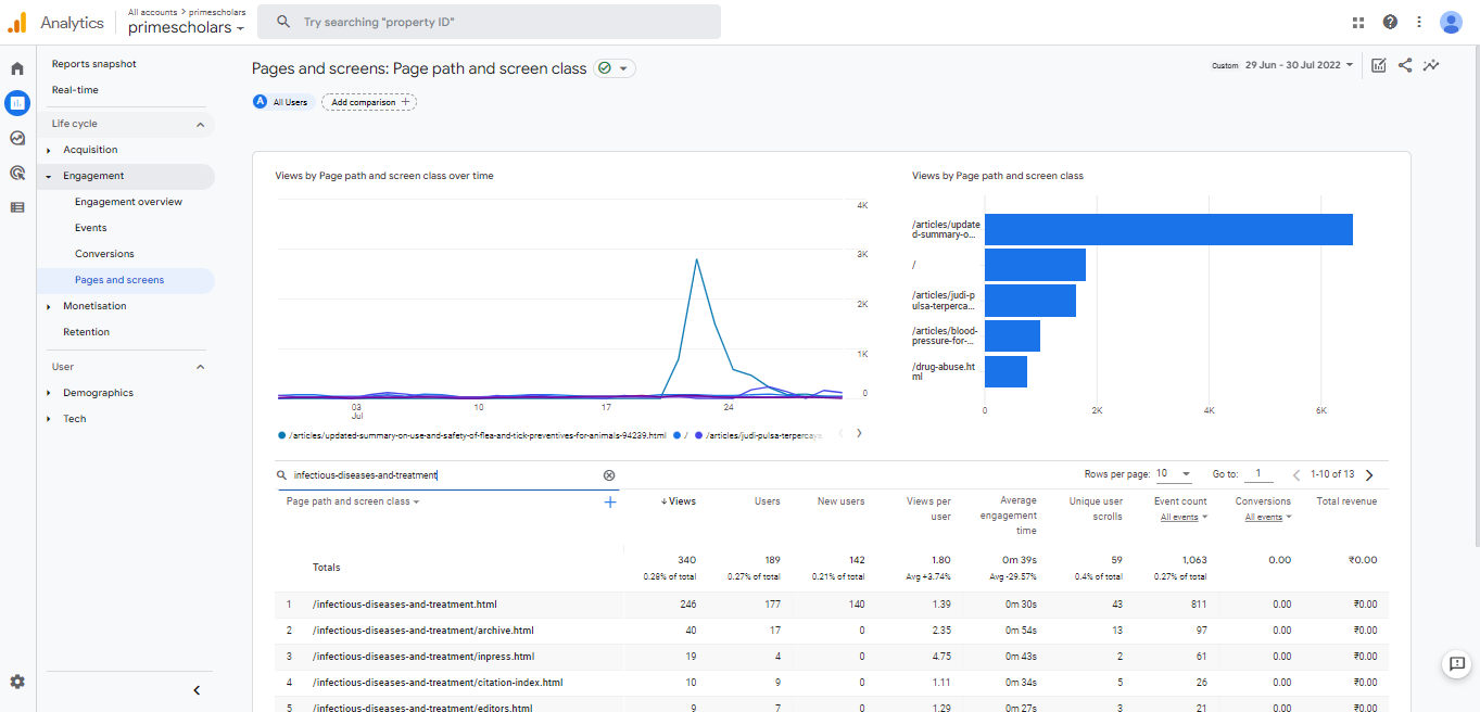 Visitor Analysis Report