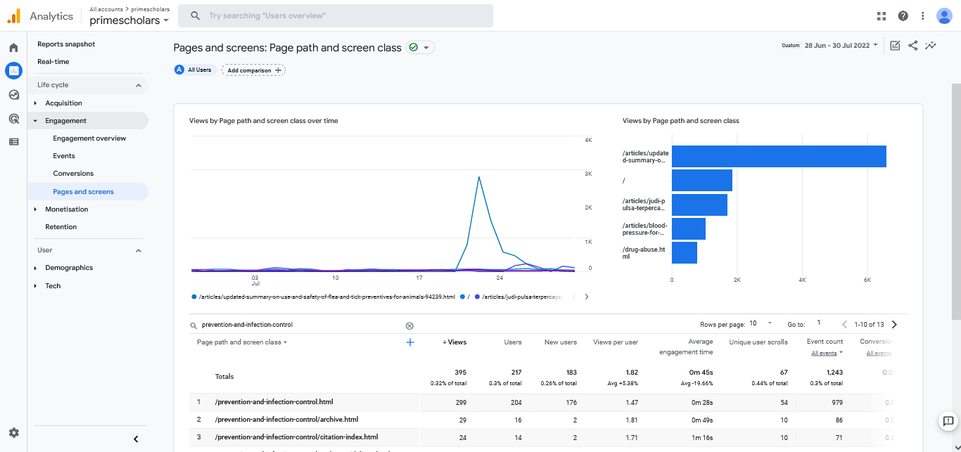 Visitor Analysis Report