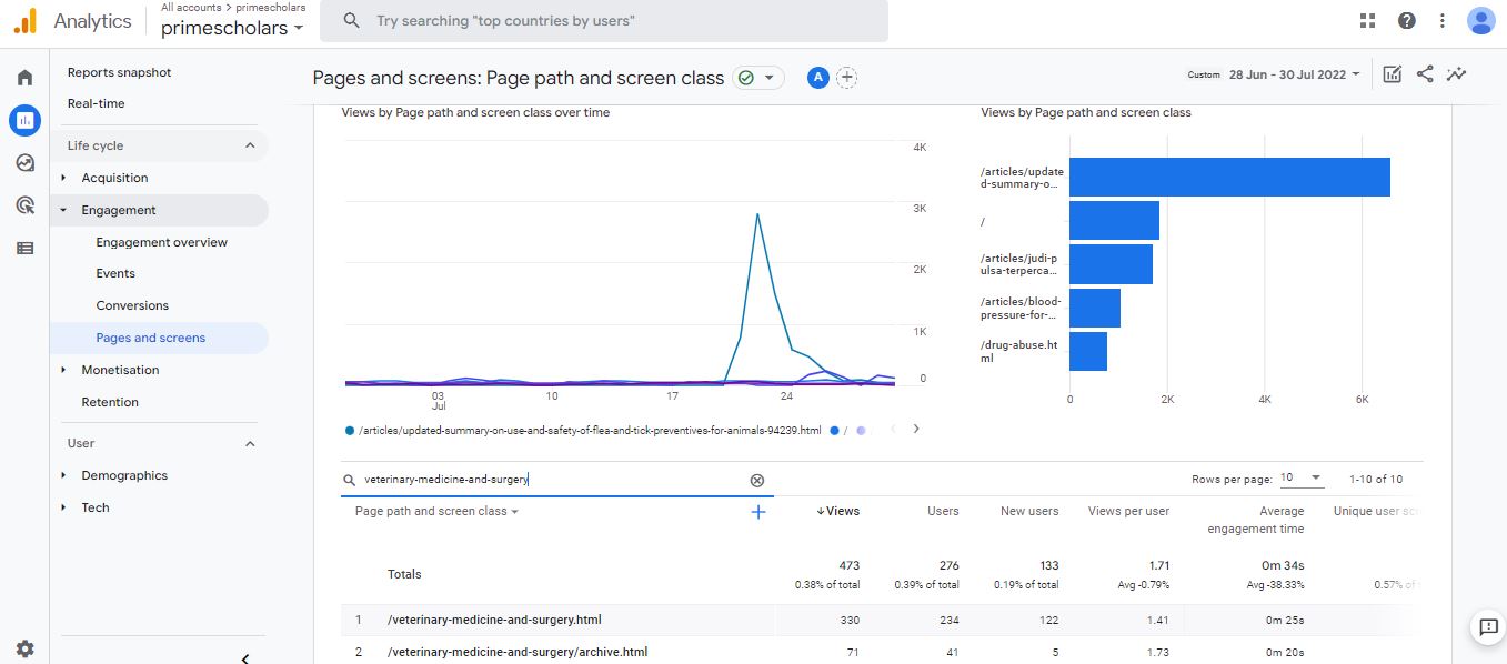 Visitor Analysis Report