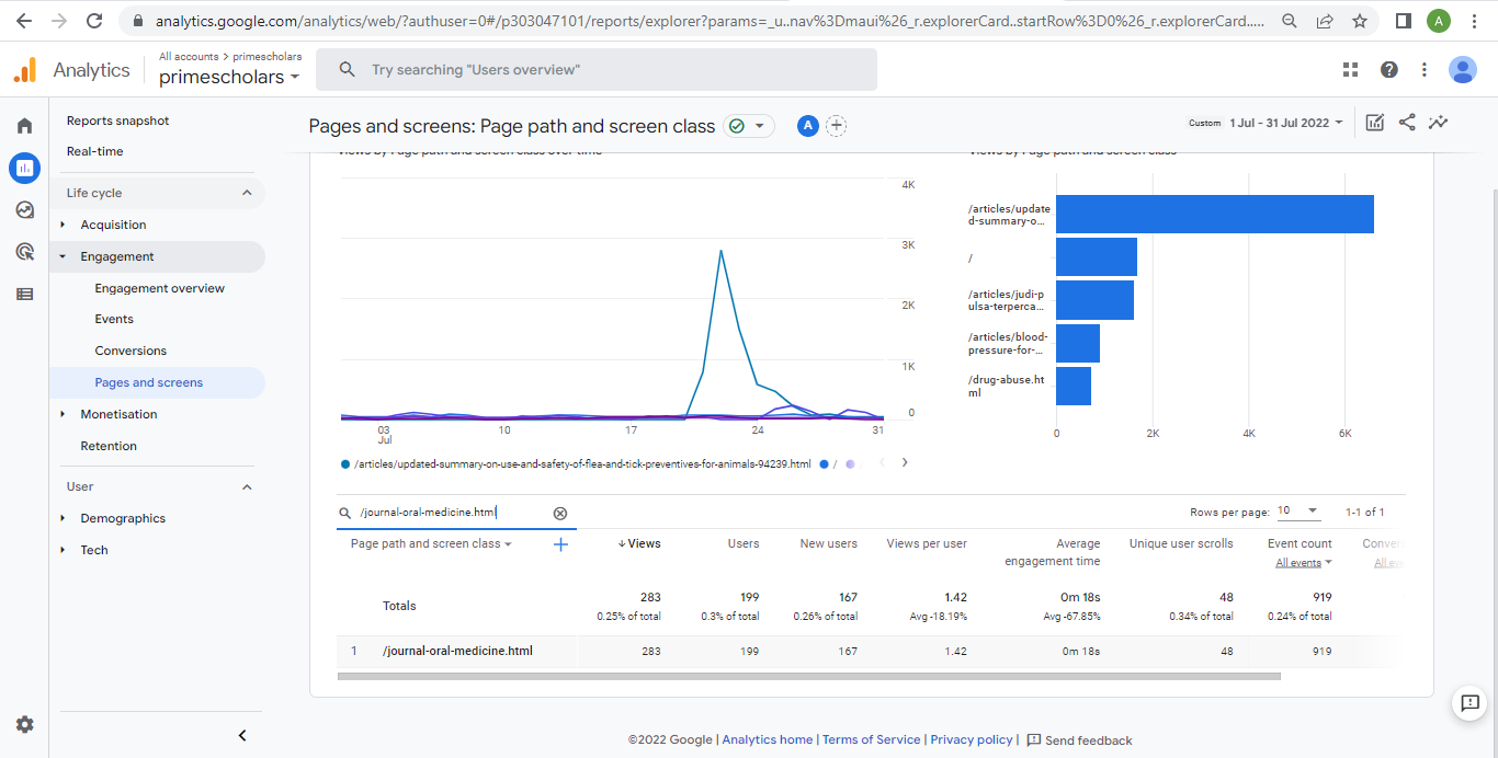 Visitor Analysis Report