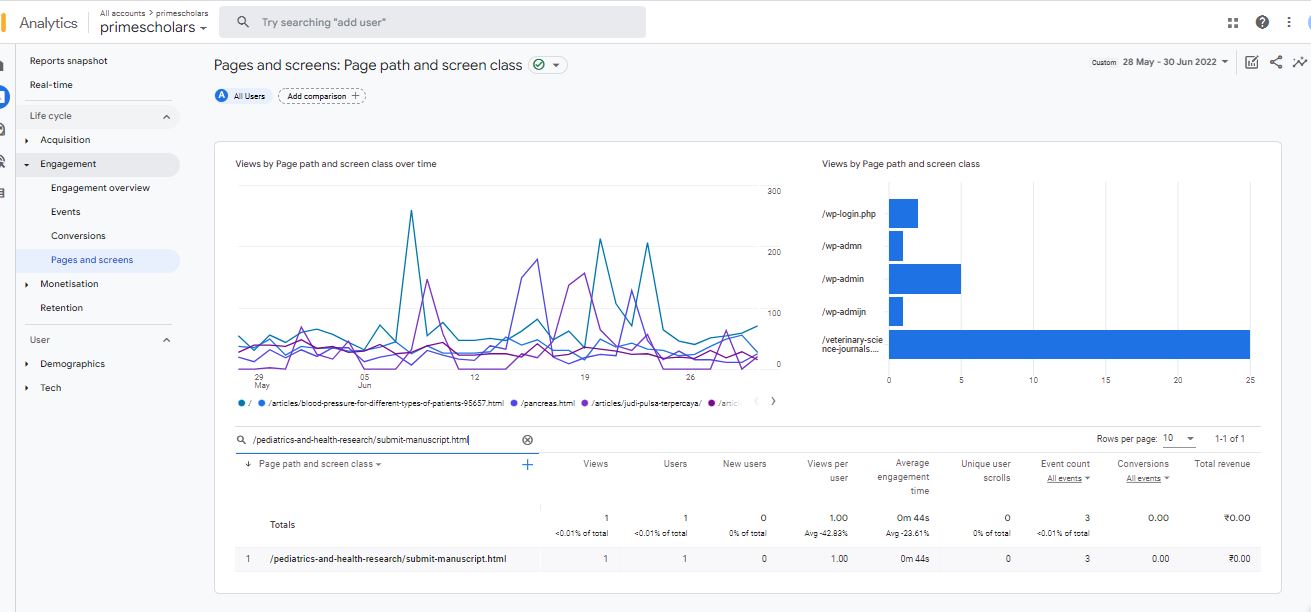 Visitor Analysis Report