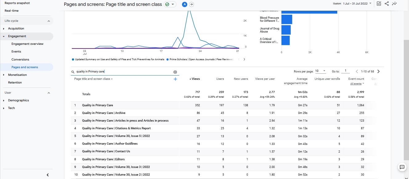 Visitor Analysis Report