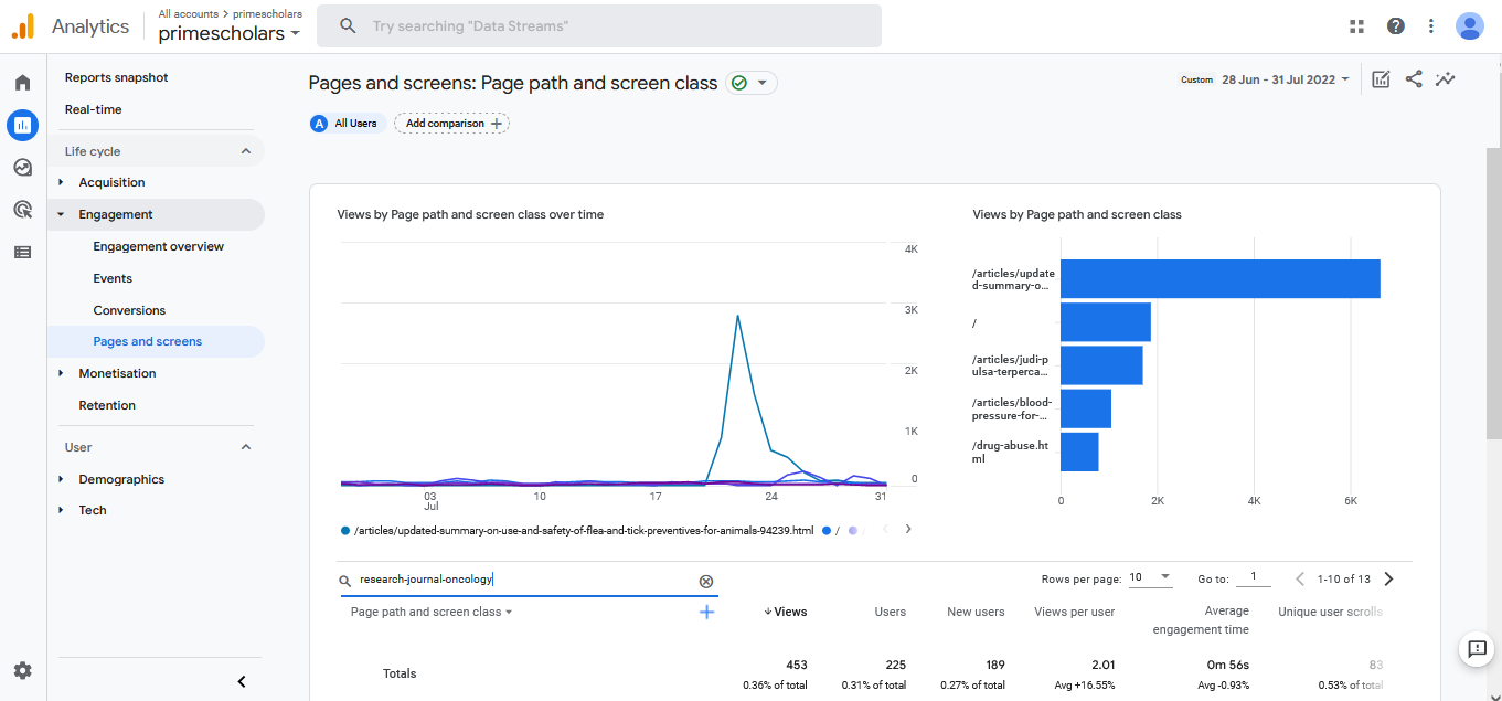 Visitor Analysis Report