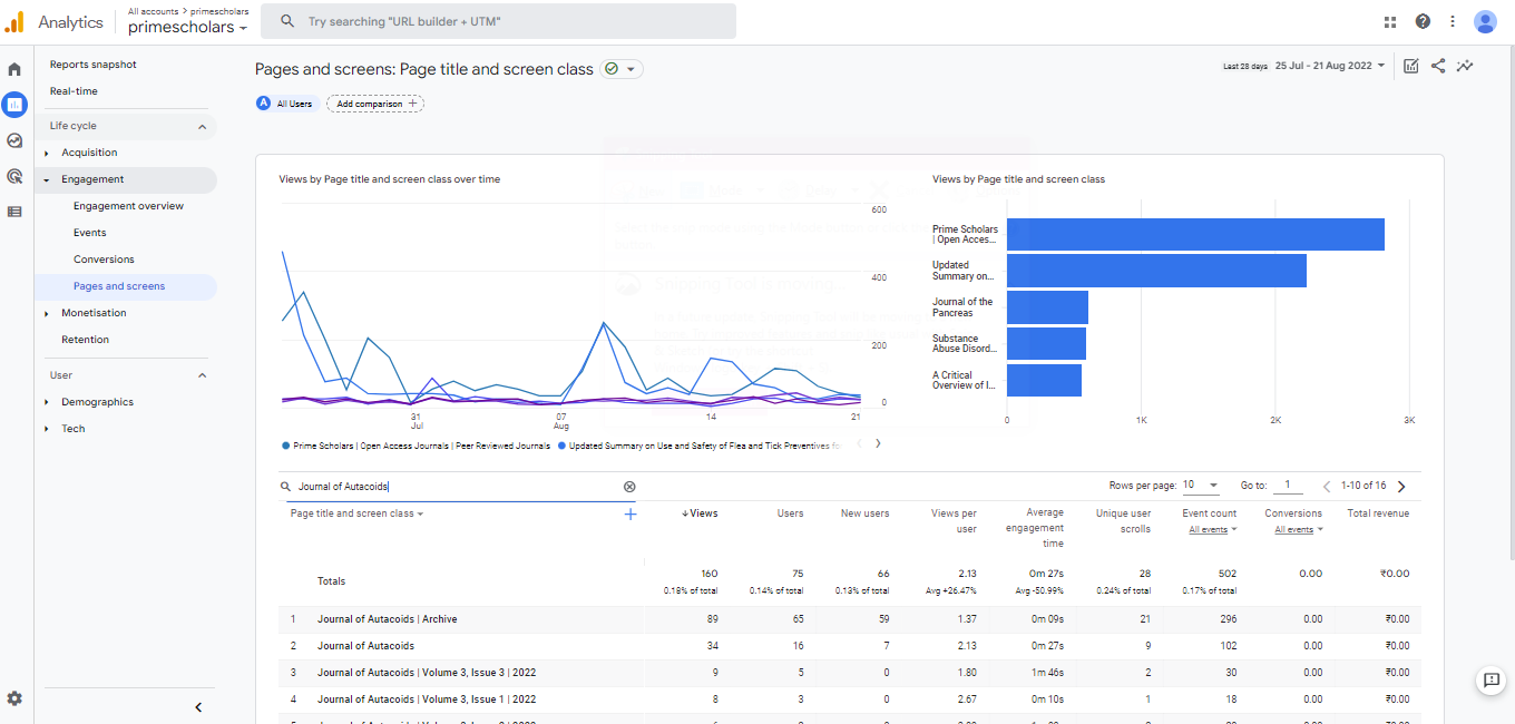 Visitor Analysis Report