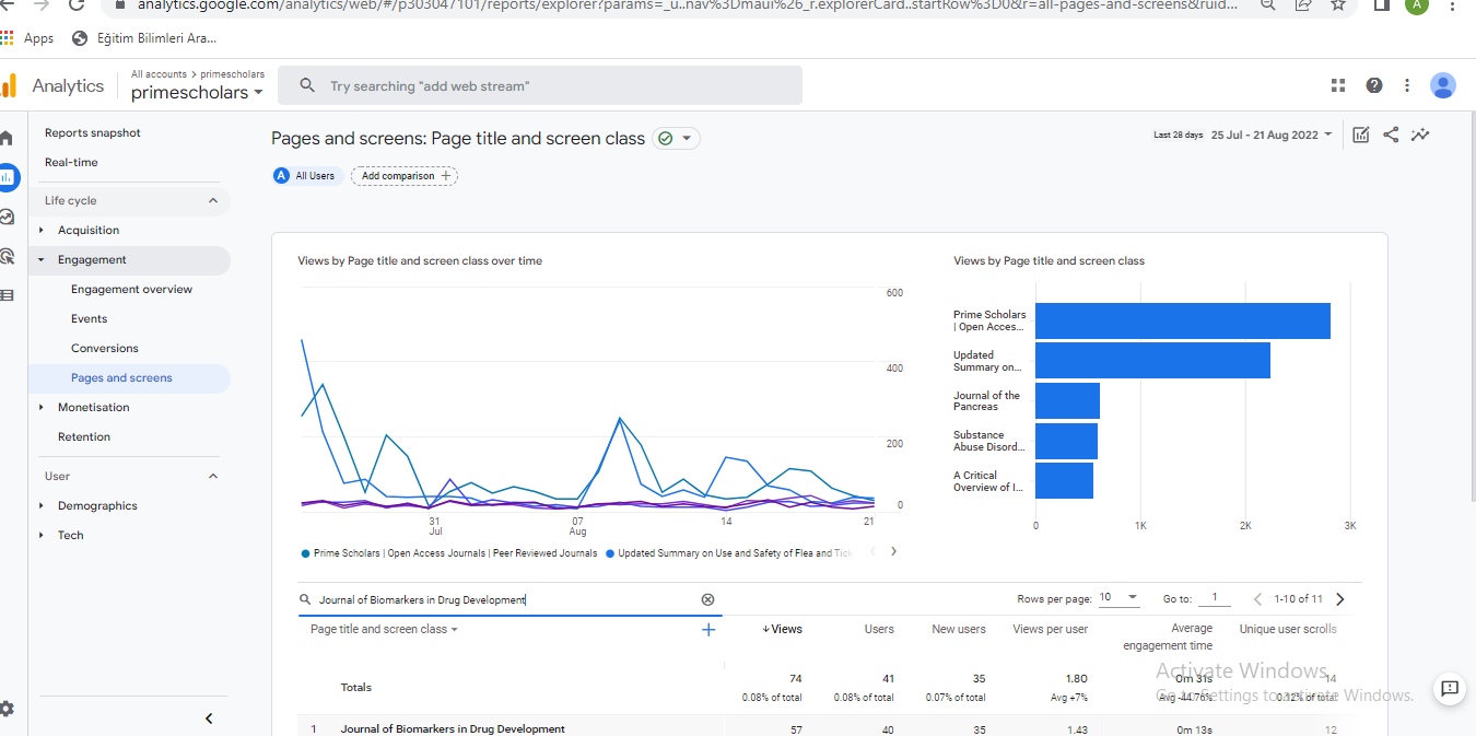 Visitor Analysis Report