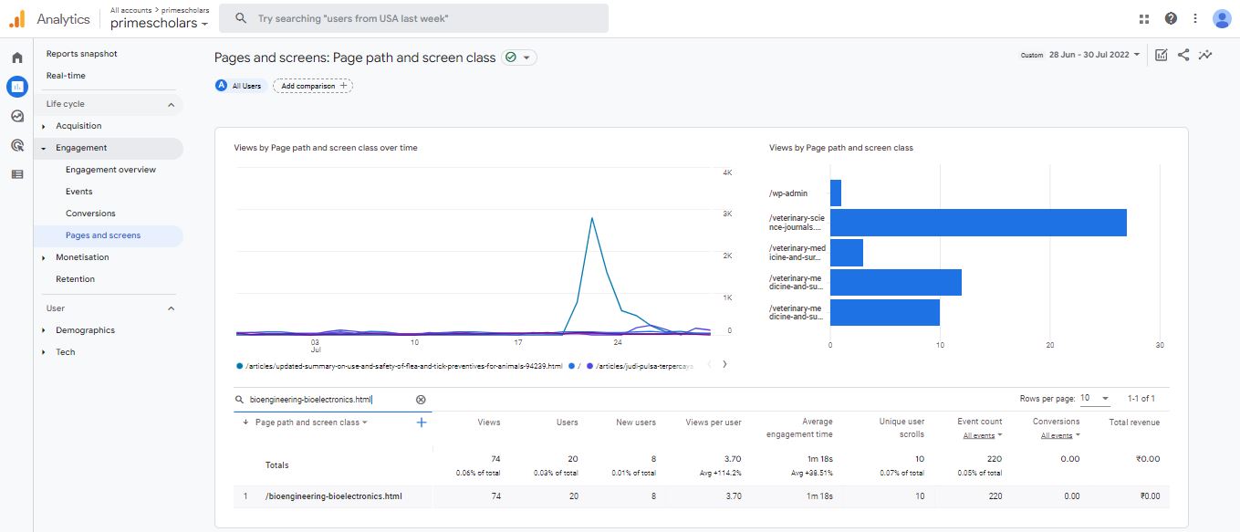 Visitor Analysis Report