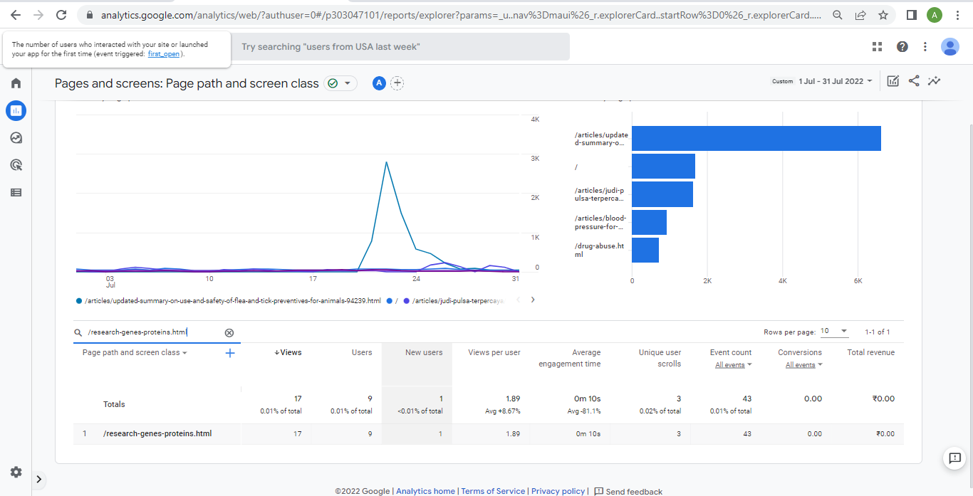 Visitor Analysis Report