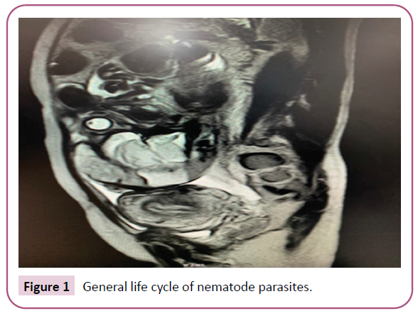 advances-applied-science-nematode-parasites