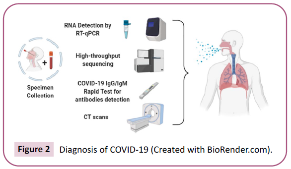 biochemistry-molecular-biology-biorender