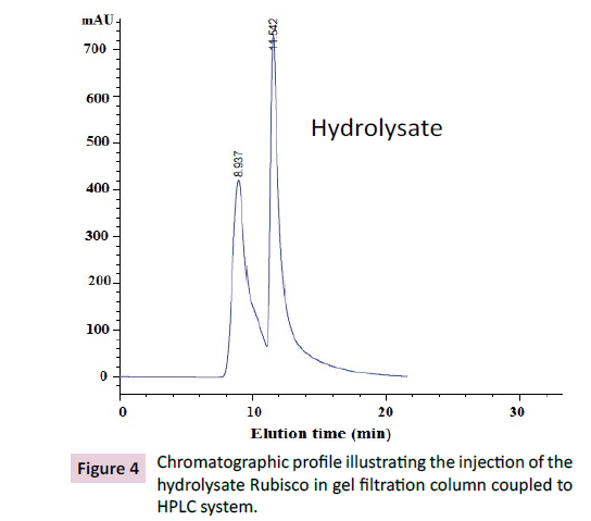 biochemistry-molecular-biology-chromatographic-profile