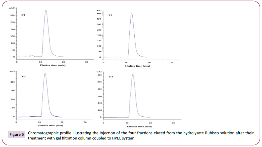 biochemistry-molecular-biology-fractions-eluted