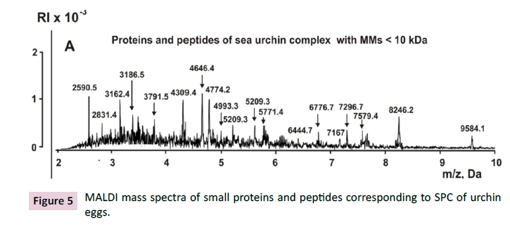 biochemistry-molecular-biology-proteins-peptides