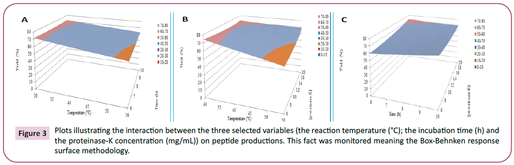 biochemistry-molecular-biology-reaction-temperature