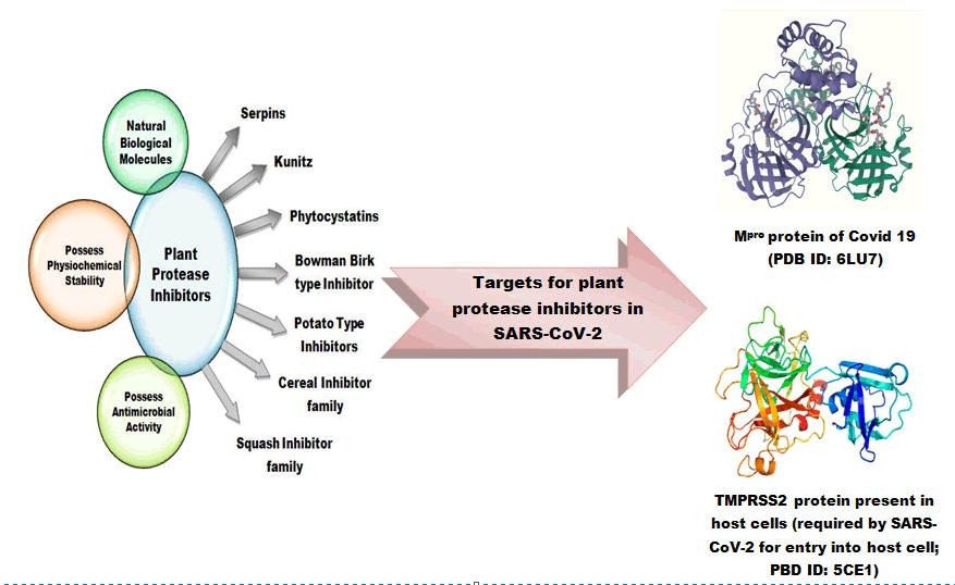 diseases-treatment