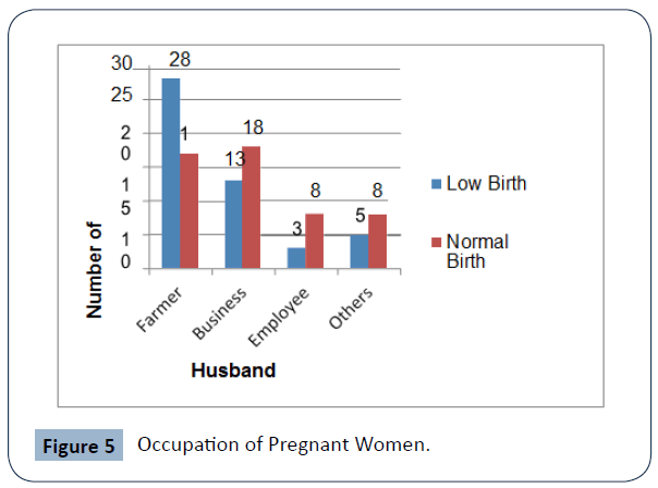 food-nutrition-and-population-health-Occupation