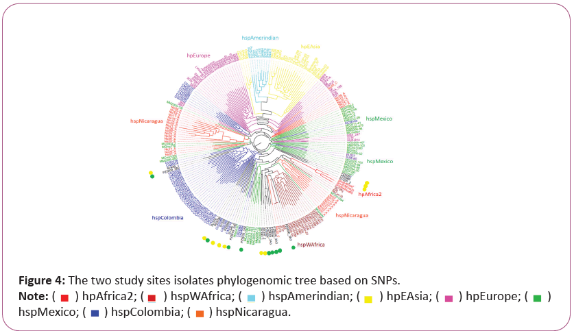 gastroenterology-hepatology-phylogenomic