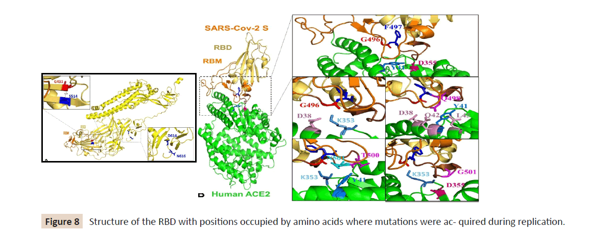 infection-control-amino-acids