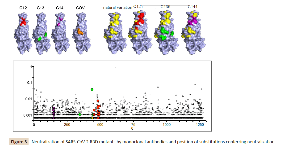 infection-control-monoclonal-antibodies