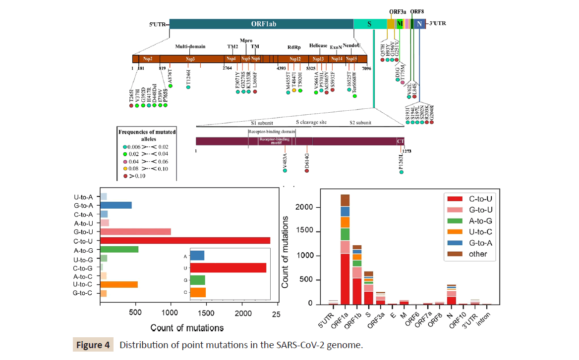 infection-control-point-mutations