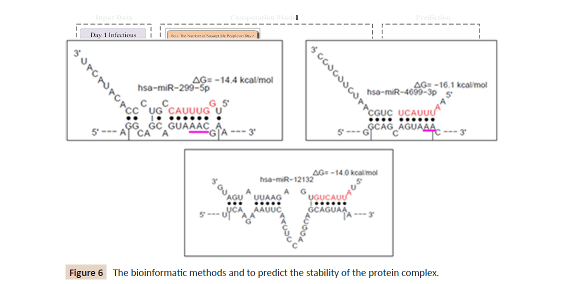 infection-control-protein-complex