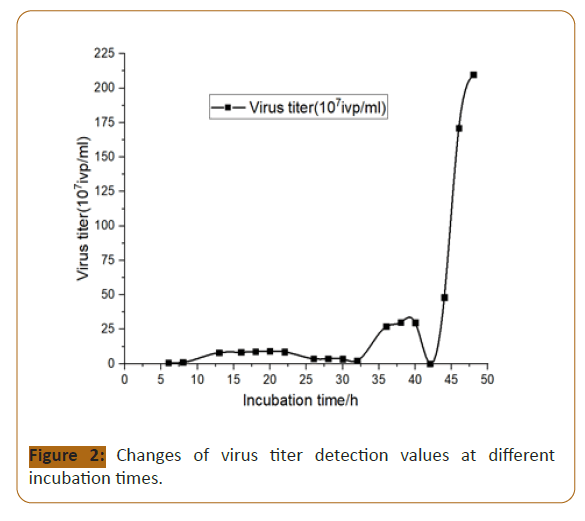 veterinary-medicine-detection