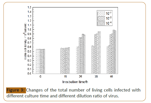 veterinary-medicine-infected