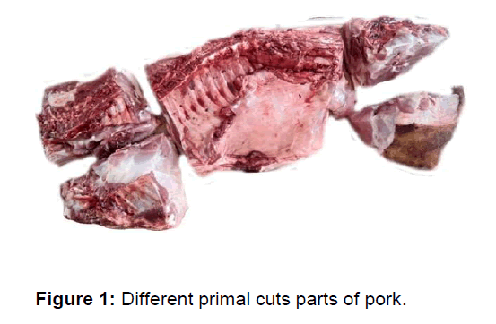 veterinary-medicine-primal