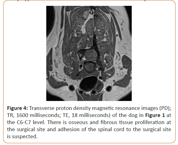 veterinary-medicine-proton